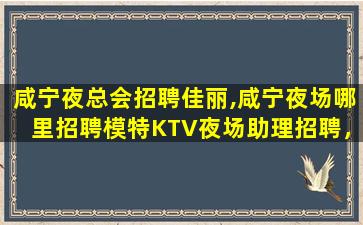 邵阳KTV招聘